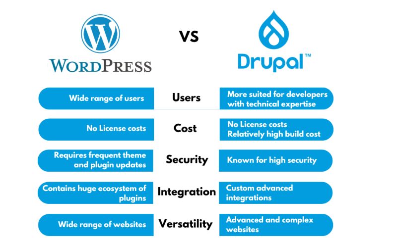 trivali is dé expert in webdesign in drupal en wordpress websites